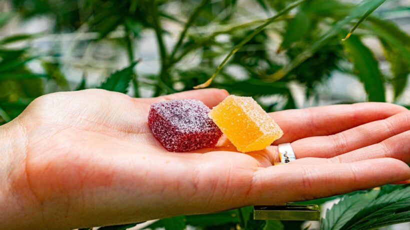 Delta 8 Gummies – The Ultimate Guide For Beginners