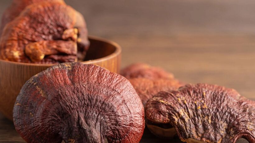 Does Reishi Affect Liver? Unveiling the Truth