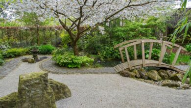 Small balcony with raked white gravel, Japanese maple in a pot, and a stone lantern