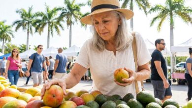 Senior couple enjoying fresh Mediterranean grilled fish and salad outdoors in Miami